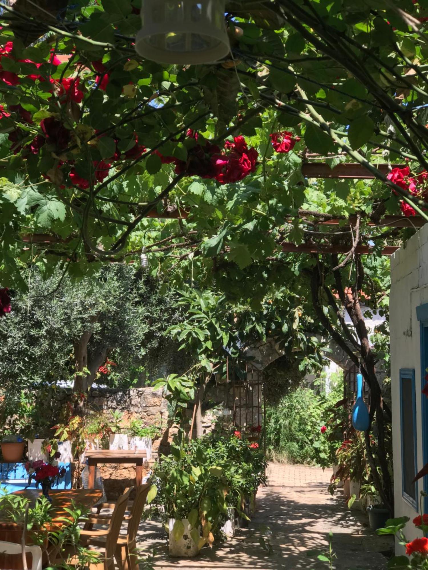 Likya Pansiyon كالينجاغيس المظهر الخارجي الصورة