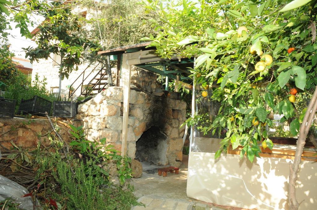 Likya Pansiyon كالينجاغيس المظهر الخارجي الصورة