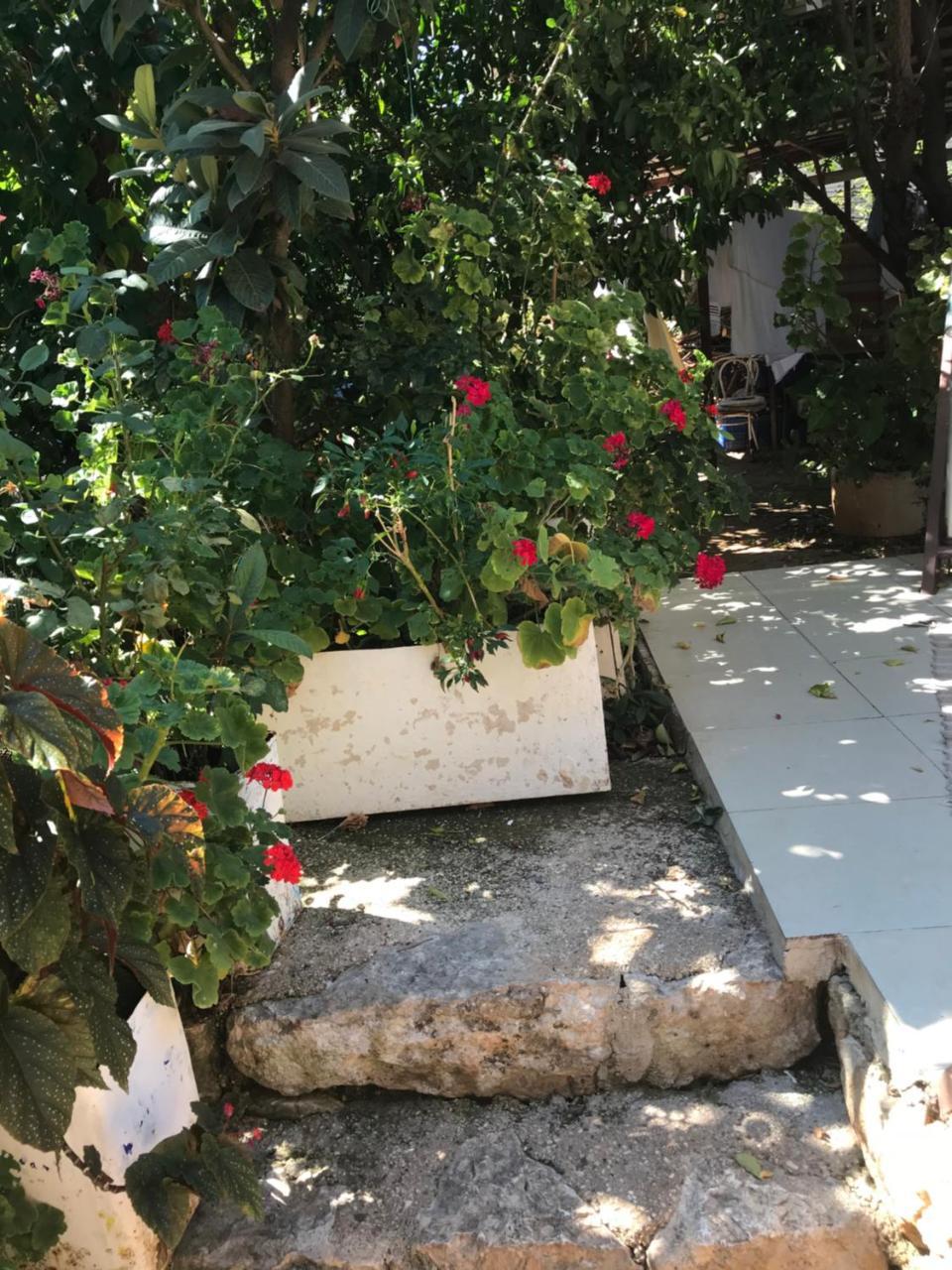 Likya Pansiyon كالينجاغيس المظهر الخارجي الصورة